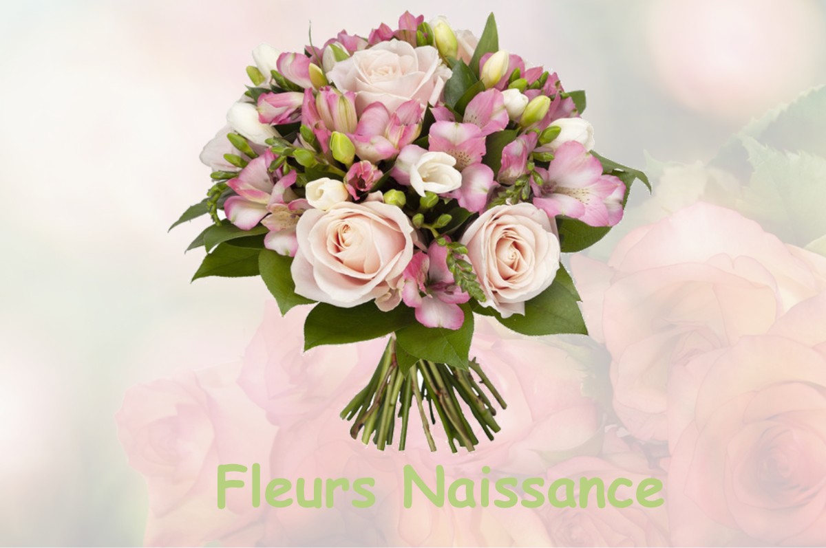 fleurs naissance LA-MAISON-DIEU